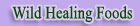 Healing Food