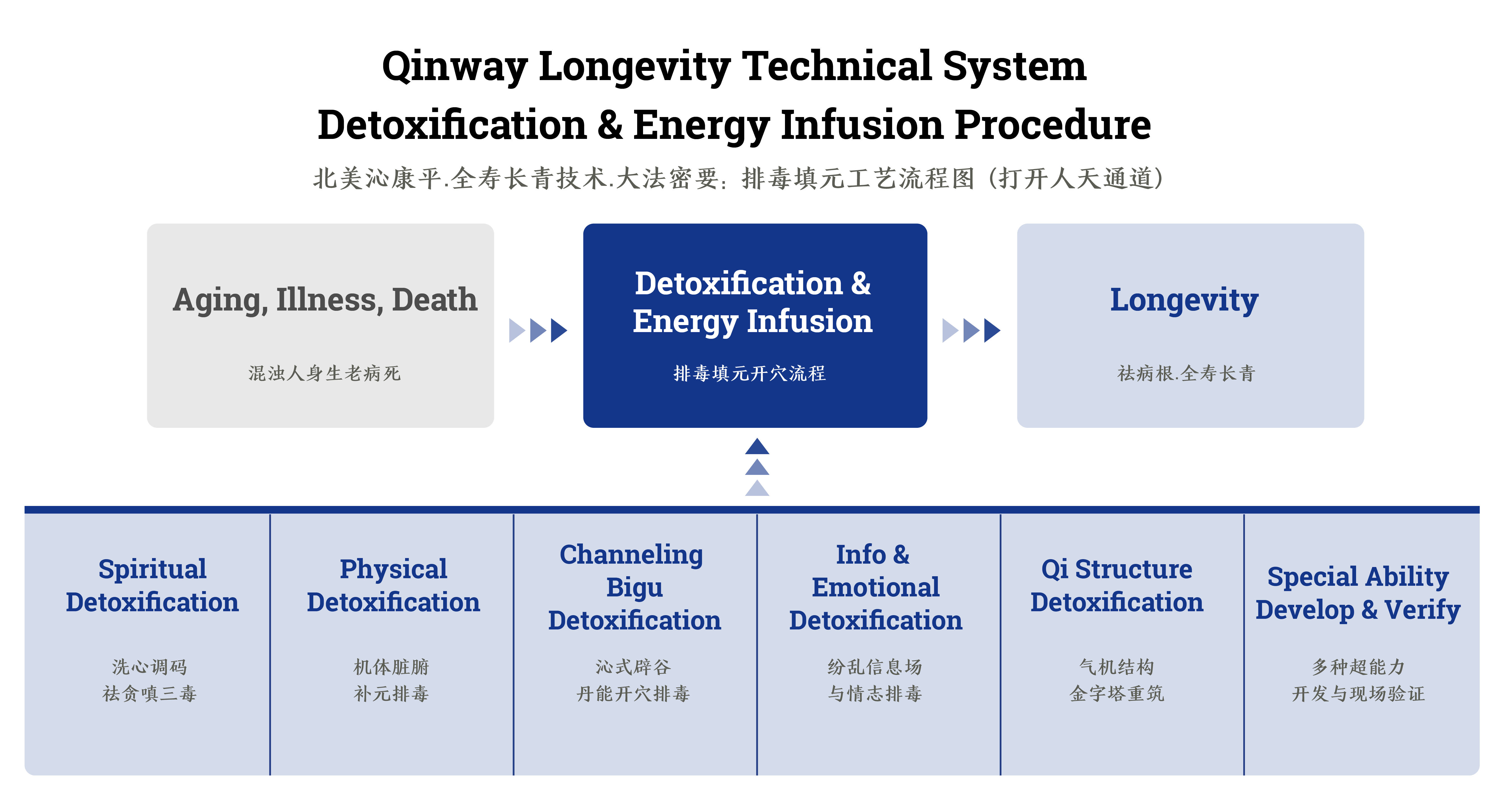 Energy Infusion Detoxification Procedure