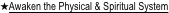 shapeimage_1_link_0